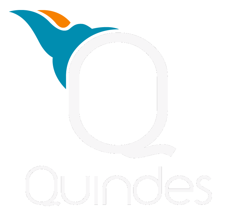 logo Quindes